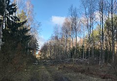 389_iP_220226_IMG_4115