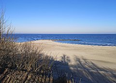 031_p20_IMG_20220301_090124