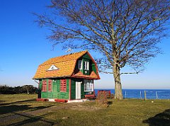 038_p20_IMG_20220301_090513