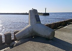 322_p20_IMG_20220301_131120