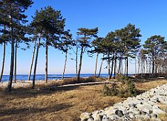 426_p20_IMG_20220301_143401