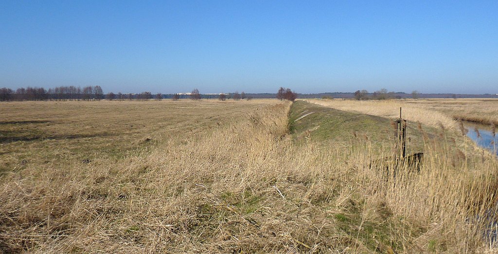 324_3D2_P1100075.JPG