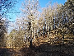 036_p20_IMG_20220313_085227