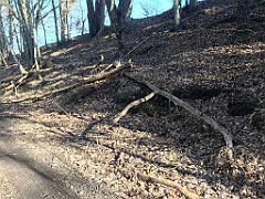 052_iP_220313_IMG_4527