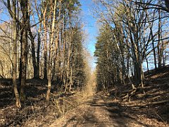 053_iP_220313_IMG_4528