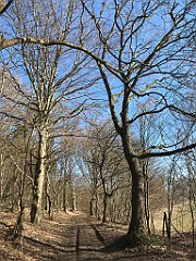 075_iP_220313_IMG_4536