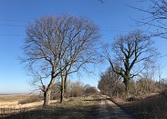 104_iP_220313_IMG_4553