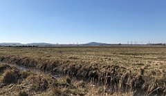 239_iP_220313_IMG_4598