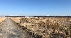 287_iP_220313_IMG_4610