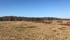 482_iP_220313_IMG_4655