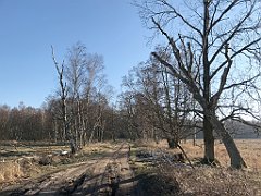 499_iP_220313_IMG_4680