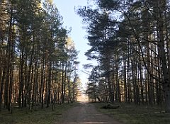 508_iP_220313_IMG_4692