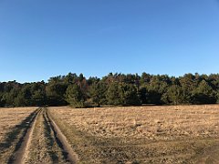 514_iP_220313_IMG_4695