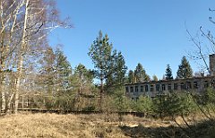 026_iP_220320_IMG_4708