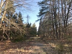 031_iP_220320_IMG_4714