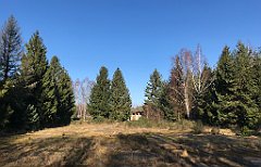 032_iP_220320_IMG_4716