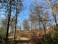 061_iP_220320_IMG_4726