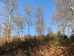 065_iP_220320_IMG_4729