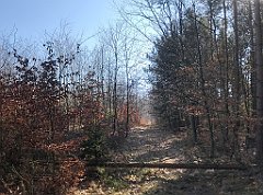 076_iP_220320_IMG_4735