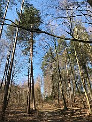 079_iP_220320_IMG_4737