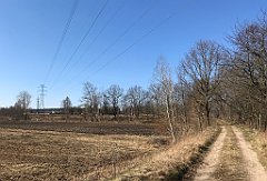 132_iP_220320_IMG_4742