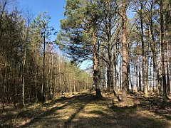 219_iP_220320_IMG_4760