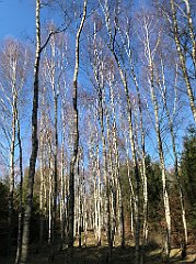 223_iP_220320_IMG_4764