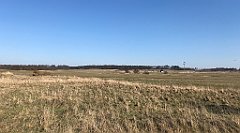 295_iP_220320_IMG_4779