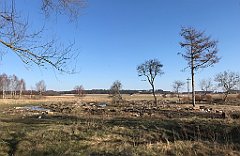 308_iP_220320_IMG_4787