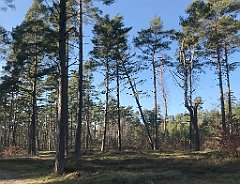 364_iP_220320_IMG_4795