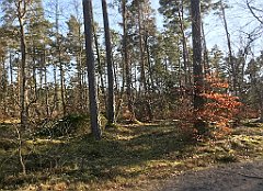 366_iP_220320_IMG_4797