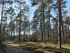 368_iP_220320_IMG_4801