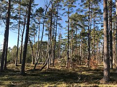 369_iP_220320_IMG_4802