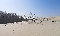 313_p20_IMG_20220325_121737