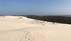 332_iP_220325_IMG_4860