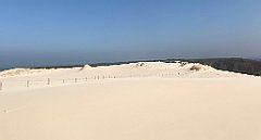 338_iP_220325_IMG_4868