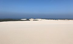 339_iP_220325_IMG_4869