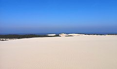 352_p20_IMG_20220325_122911