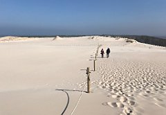 361_iP_220325_IMG_4876