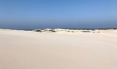 383_iP_220325_IMG_4897