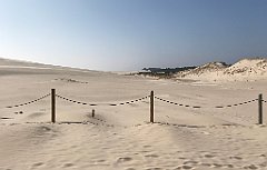 440_iP_220325_IMG_4914