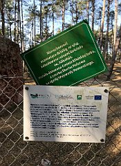 539_iP_220325_IMG_4936