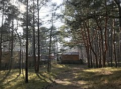 550_iP_220325_IMG_4950