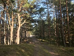 551_iP_220325_IMG_4952