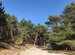 555_iP_220325_IMG_4957