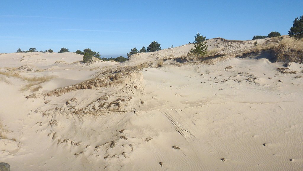 055_3D2_P1100515.JPG