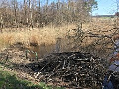 013_iP_220416_IMG_5075