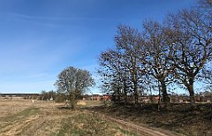 056_iP_220416_IMG_5100