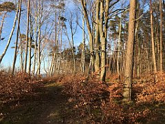 168_iP_220416_IMG_5140