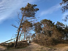 173_iP_220416_IMG_5145